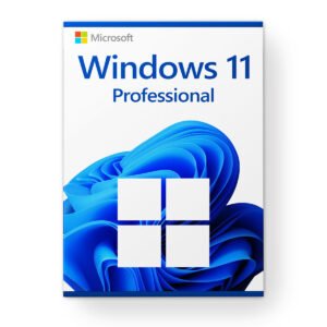 Microsoft Windows 11 Professional - Licencia